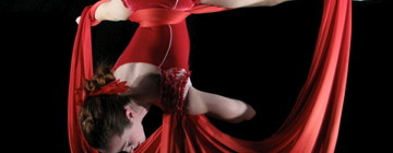 Silks